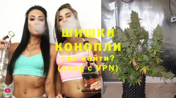 дживик Кукмор