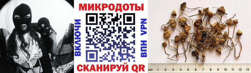 Псилоцибиновые грибы ЛСД Ивантеевка